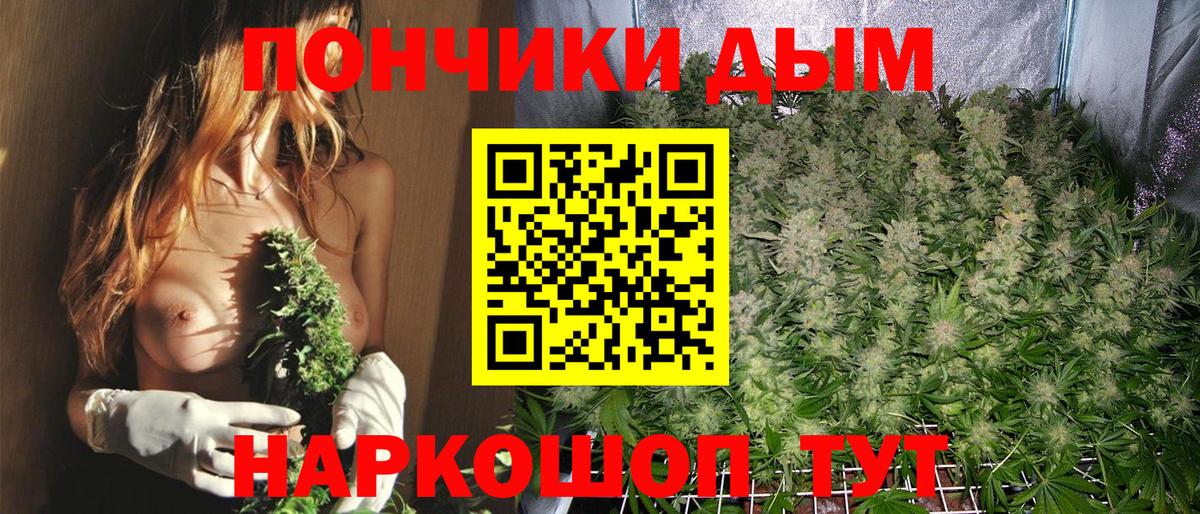 Бошки марихуана Ganja  Шишки марихуана MAZAR  Новоуральск  Бошки марихуана планчик  Вход с VPN 